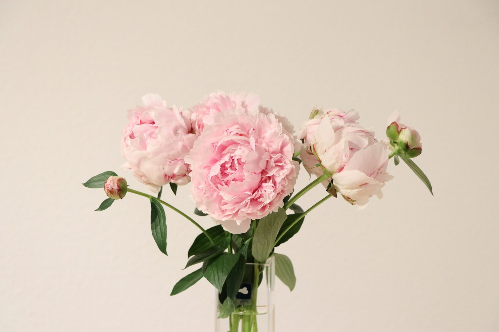 Composição floral com peónias e rosas